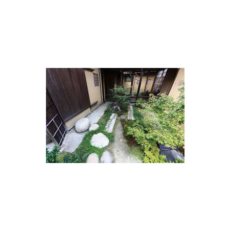 Habitació Premium + Jardí privat