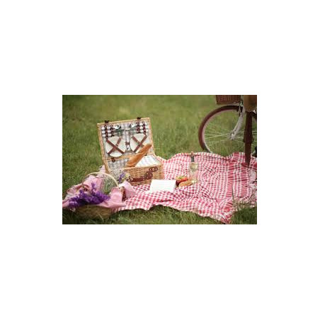 Wellness picnic