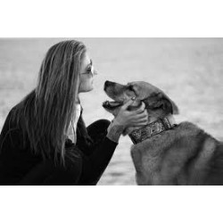 Dog + person photo session