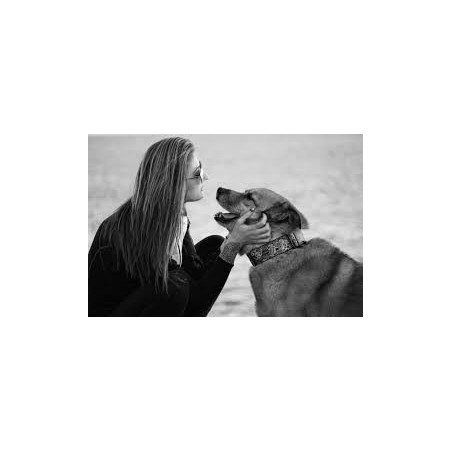 Sessió fotogràfica gos + persona