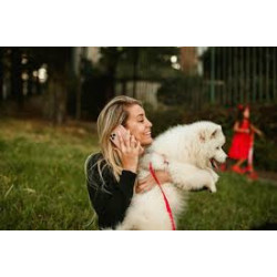 Taller “comunica’t amb el teu gos”