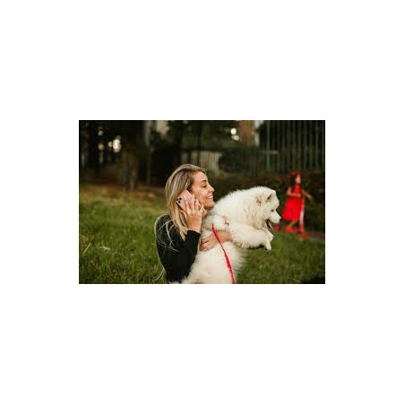 Workshop “Communicate with your dog”