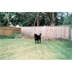 Zona d’esbarjo segura