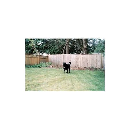 Zona d’esbarjo segura