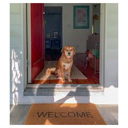 Welcome kit for the dog