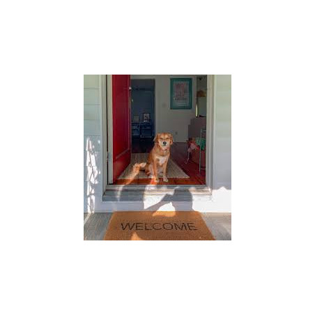 Welcome kit for the dog