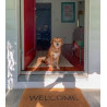 Welcome kit for the dog