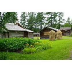 Orchards and farm visit