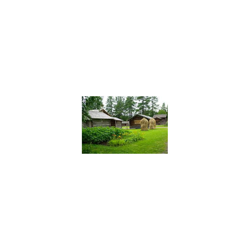 Orchards and farm visit