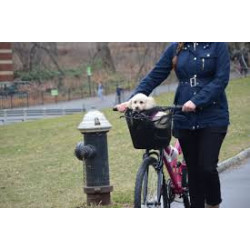 Bici amb remolc per al gos