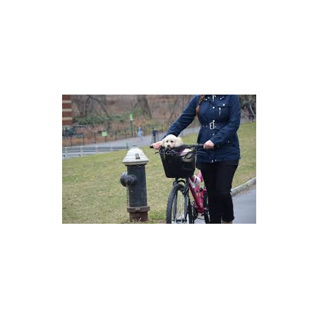 Bici amb remolc per al gos