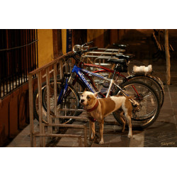 Ruta cultural en bici