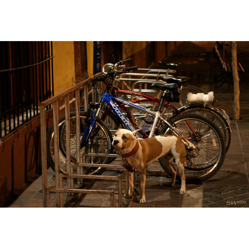 Cultural route by bike
